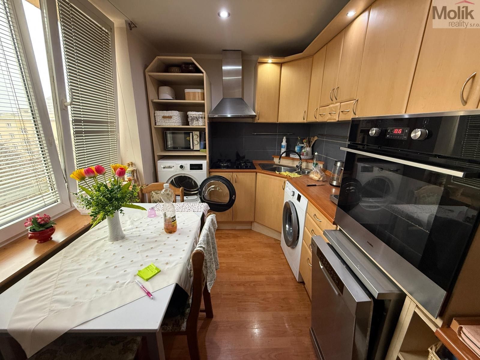 3+1, Maxe Švabinského, Most, 54 m²