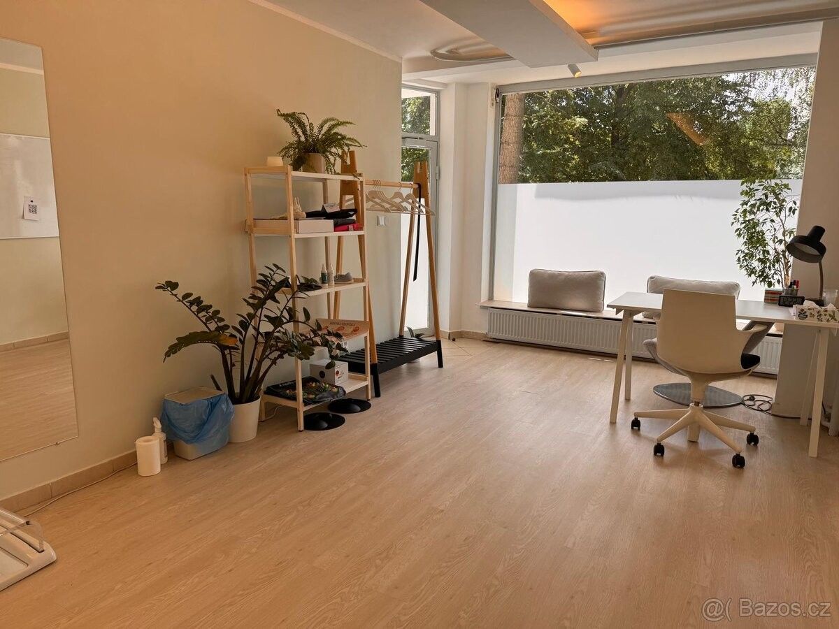 Obchodní prostory, Praha, 190 00