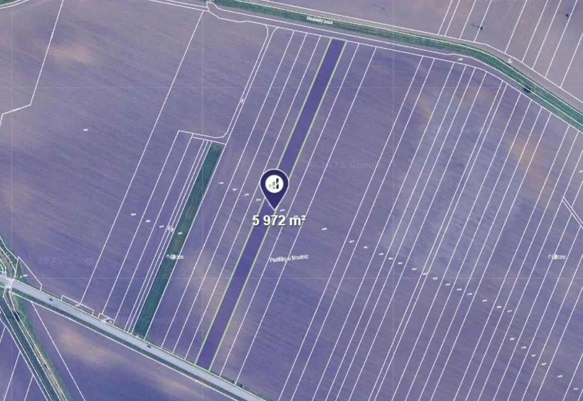 Zemědělské pozemky, Těšany, 5 972 m²