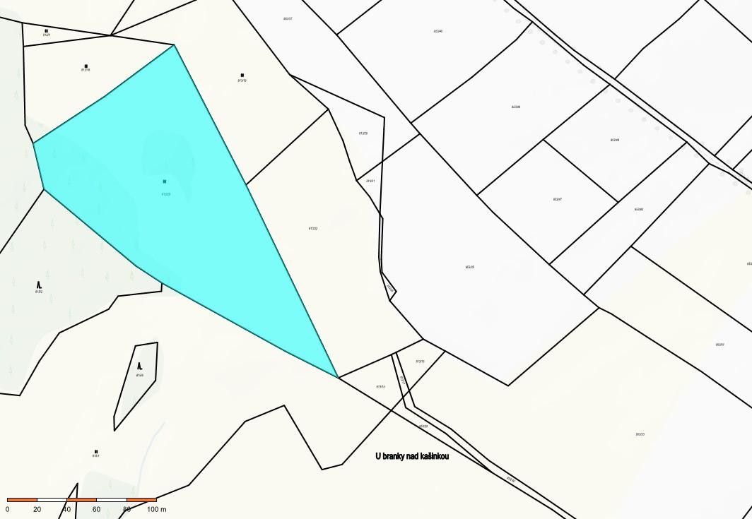 Prodej zemědělský pozemek - Moravská, Svratka, 17 965 m²