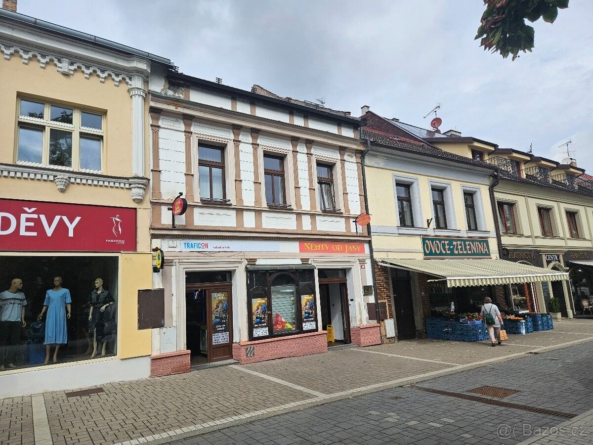 Obchodní prostory, Benešov u Prahy, 256 01
