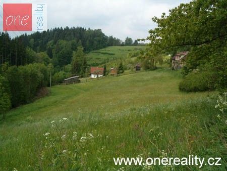 Zemědělský pozemek · 8 000 m² · Malé Svatoňovice - 4