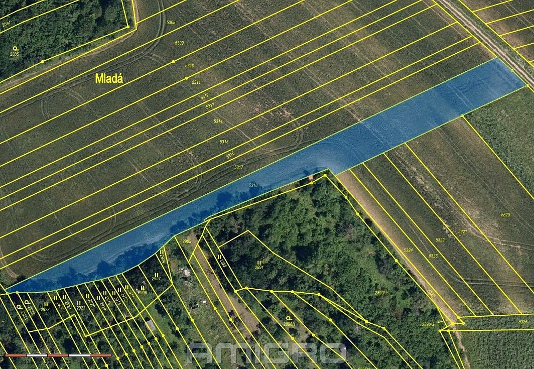 Zemědělský pozemek, 3 668 m²