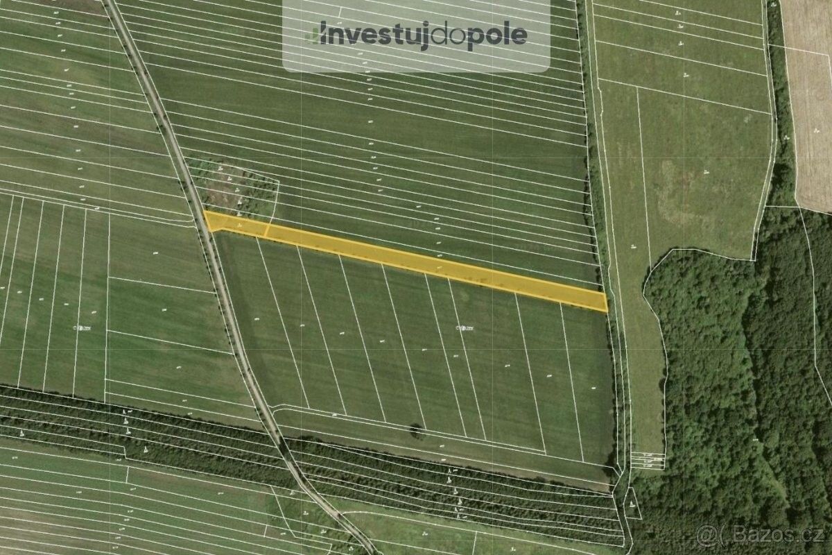 Prodej zemědělský pozemek - Velká nad Veličkou, 696 74, 6 579 m²