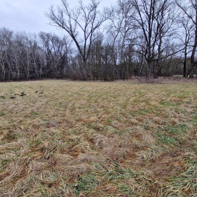 Pozemky pro bydlení, Veselí nad Moravou, 698 01