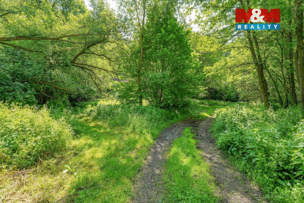 Prodej ostatní - Hostouň u Horšovského Týna, 345 25