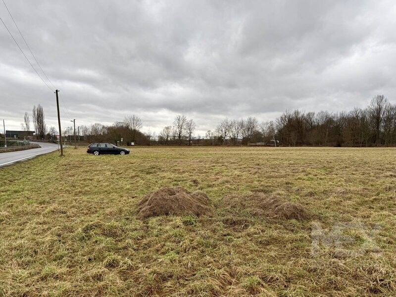 Pozemky pro bydlení, Česká Skalice, 552 03