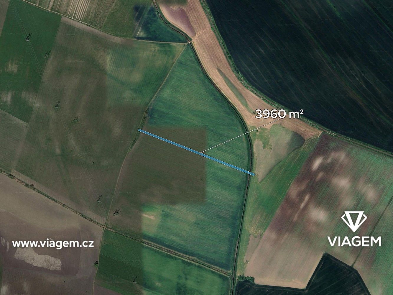 Zemědělské pozemky, Brumovice, okres Břeclav, Jihomoravský kraj - 2