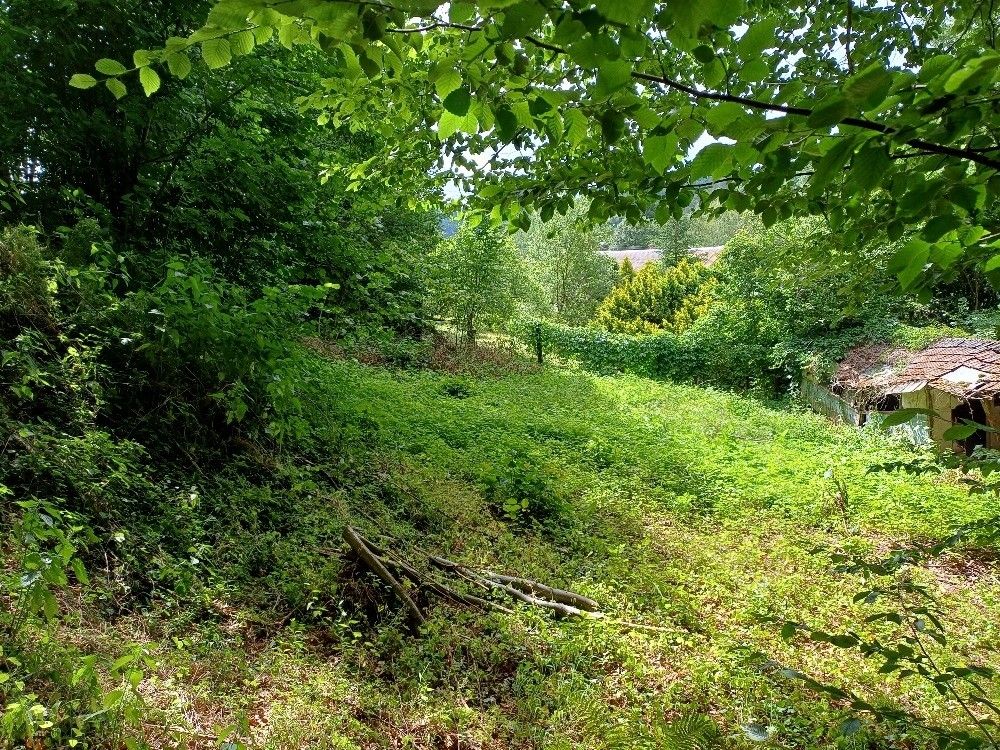 Pozemek pro bydlení · Zábřeh, 789 01 - 4