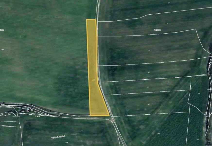 Zemědělské pozemky, Budyně nad Ohří, 482 m²
