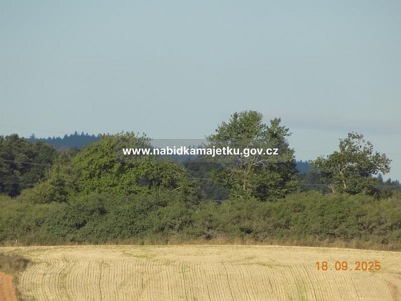 Pozemek · Bor, okres Tachov - 3