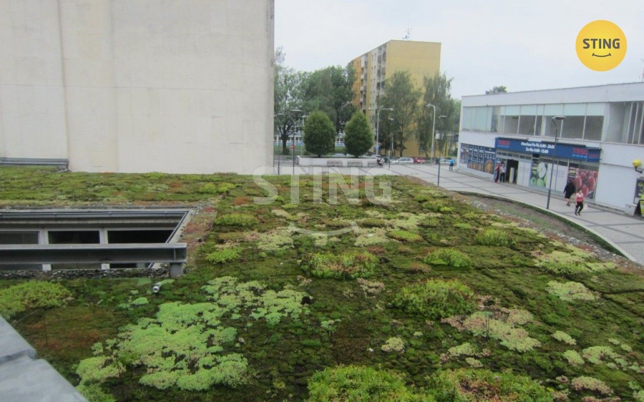Pronájem obchodní prostory - tř. Těreškovové, Karviná, 78 m² - 5