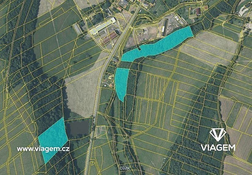 Les · Fulnek, okres Nový Jičín, Moravskoslezský kraj - 3