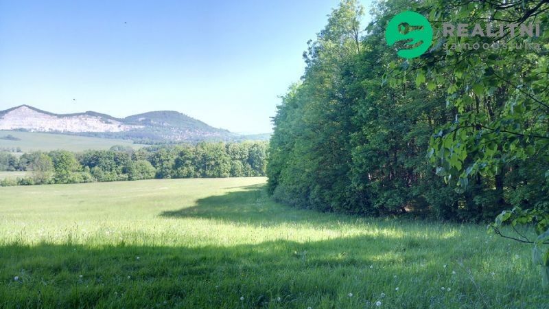 Lesy, Ženklava - 1