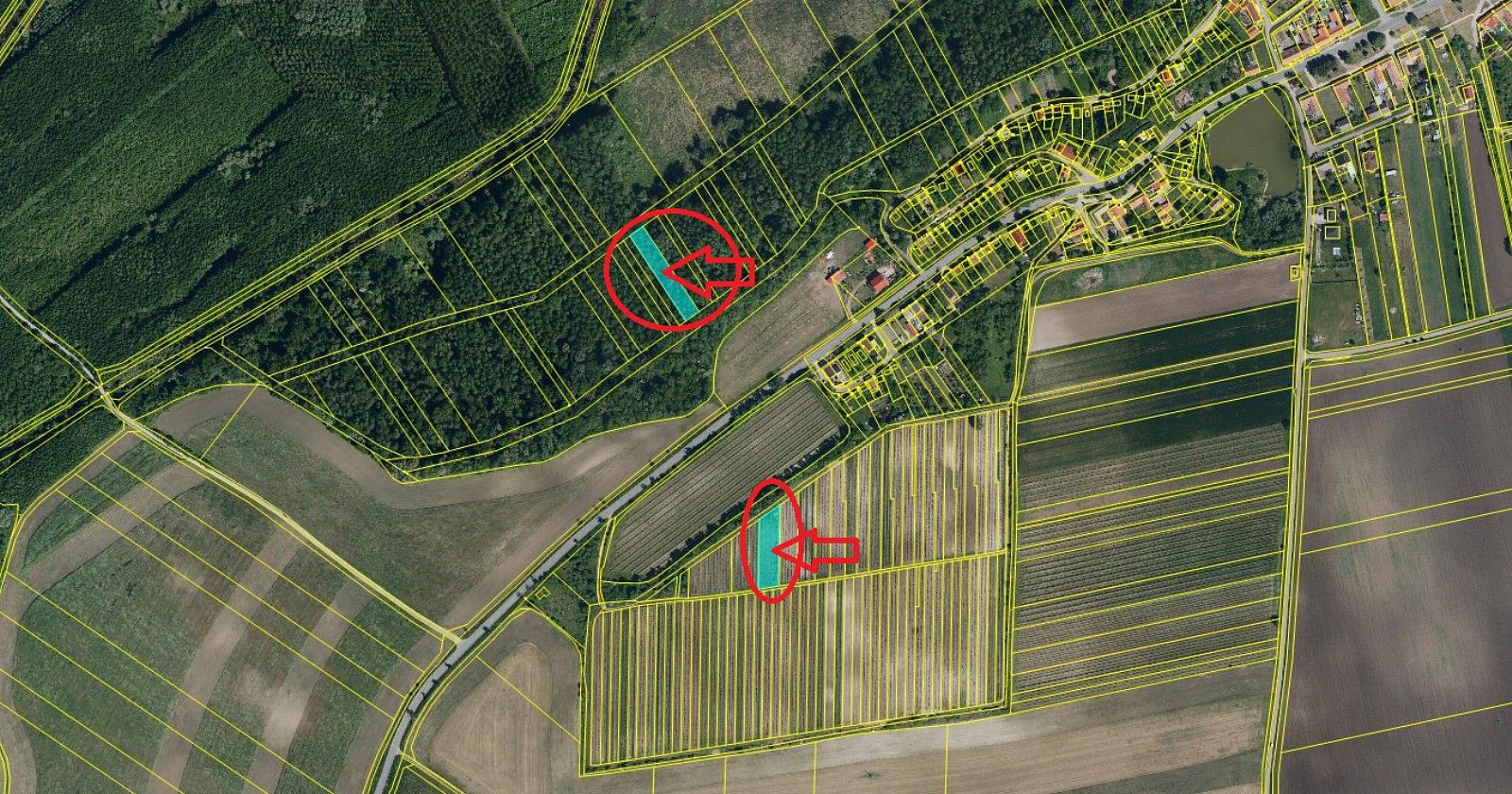 Ostatní, Brod nad Dyjí, okres Břeclav, Jihomoravský kraj - 2