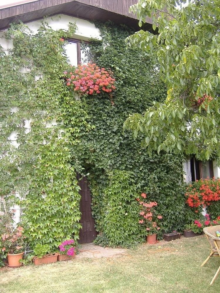 Chata · Blatno u Podbořan, Ústecký kraj - 3
