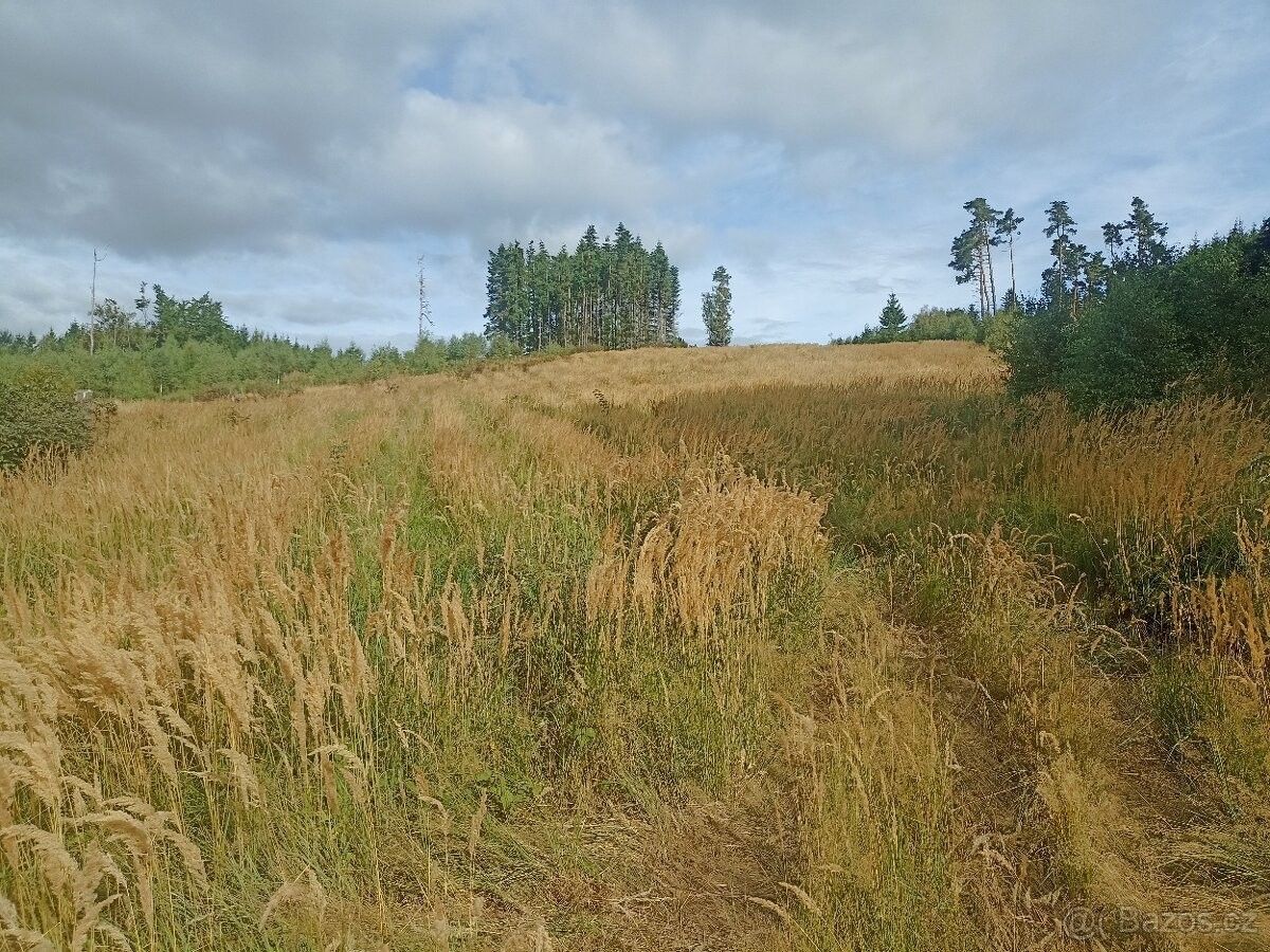 Prodej pozemek pro bydlení - Radostín nad Oslavou, 594 44 - 5