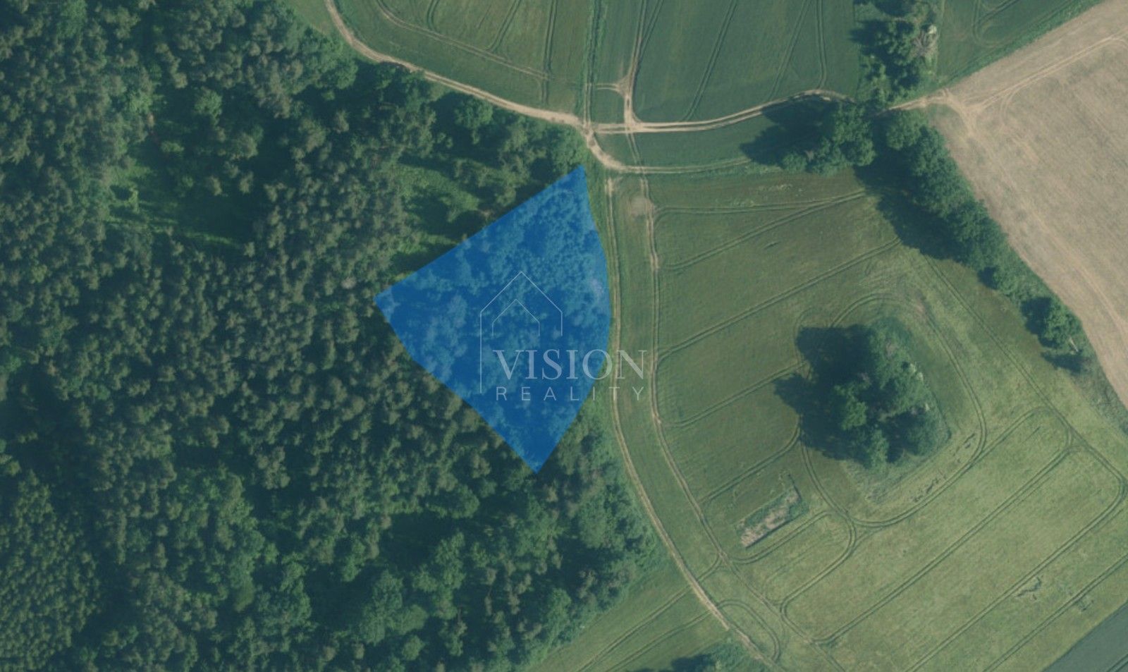 Prodej les - Dolní Žďár, 6 m²