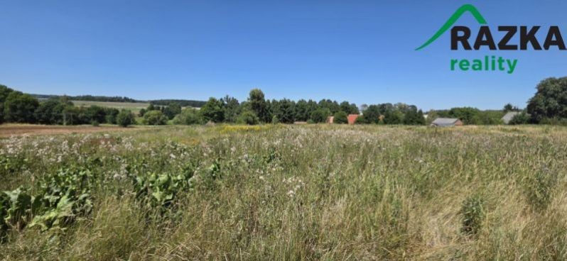 Pozemek pro bydlení · 1 888 m² · Velký Rapotín, Tachov - 4