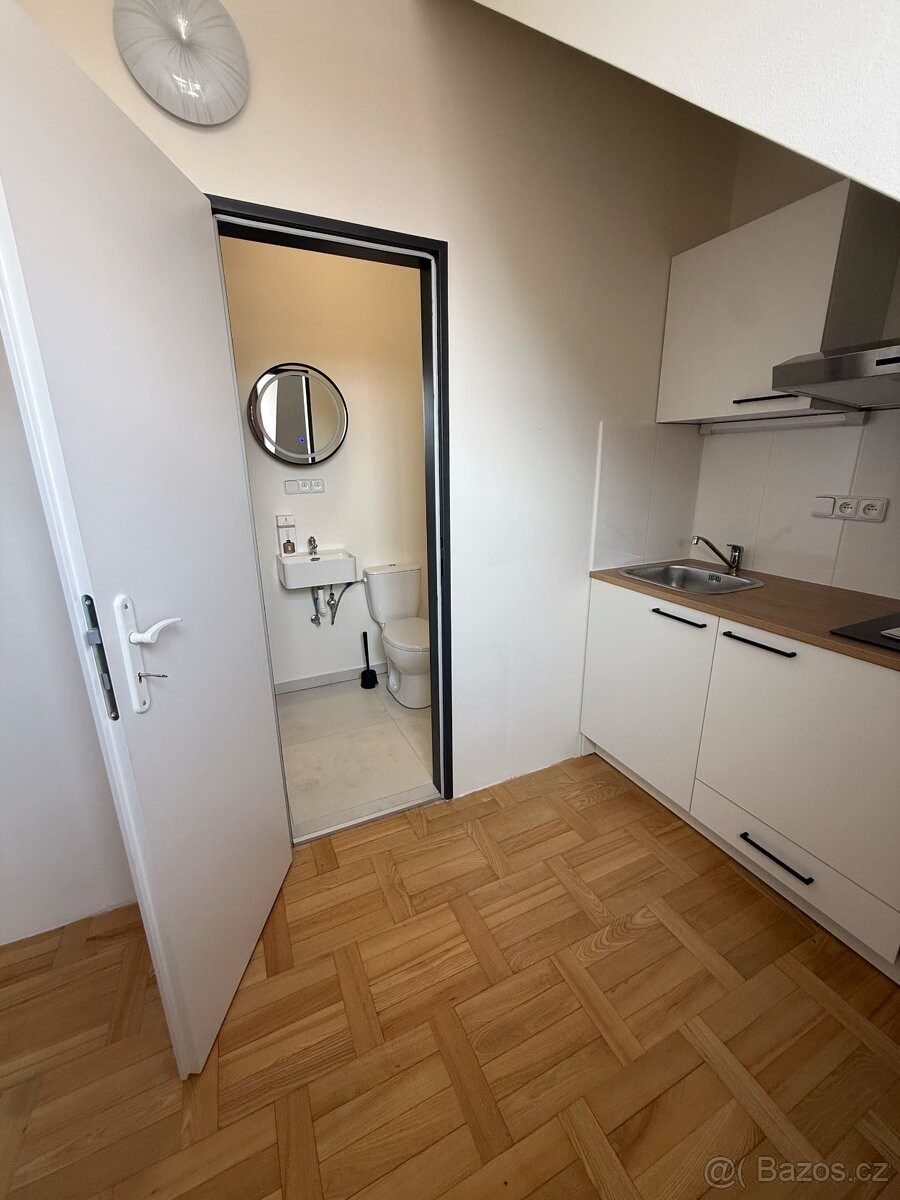 Pronájem byt 1+kk - Dýšina, 330 02, 18,9 m² - 5