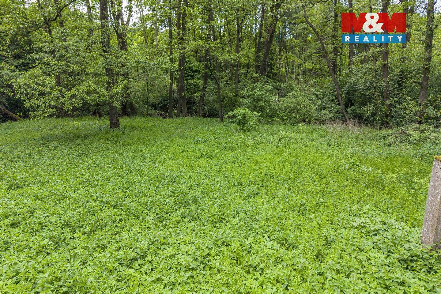 Prodej les - Červené Pečky - Bohouňovice I, okres Kolín - 5