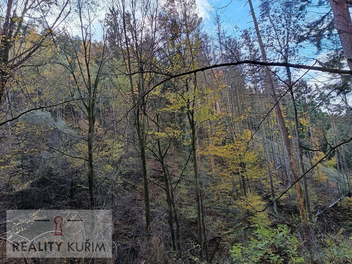 Lesy, Horní Loučky, okres Brno-venkov, Jihomoravský kraj - 1