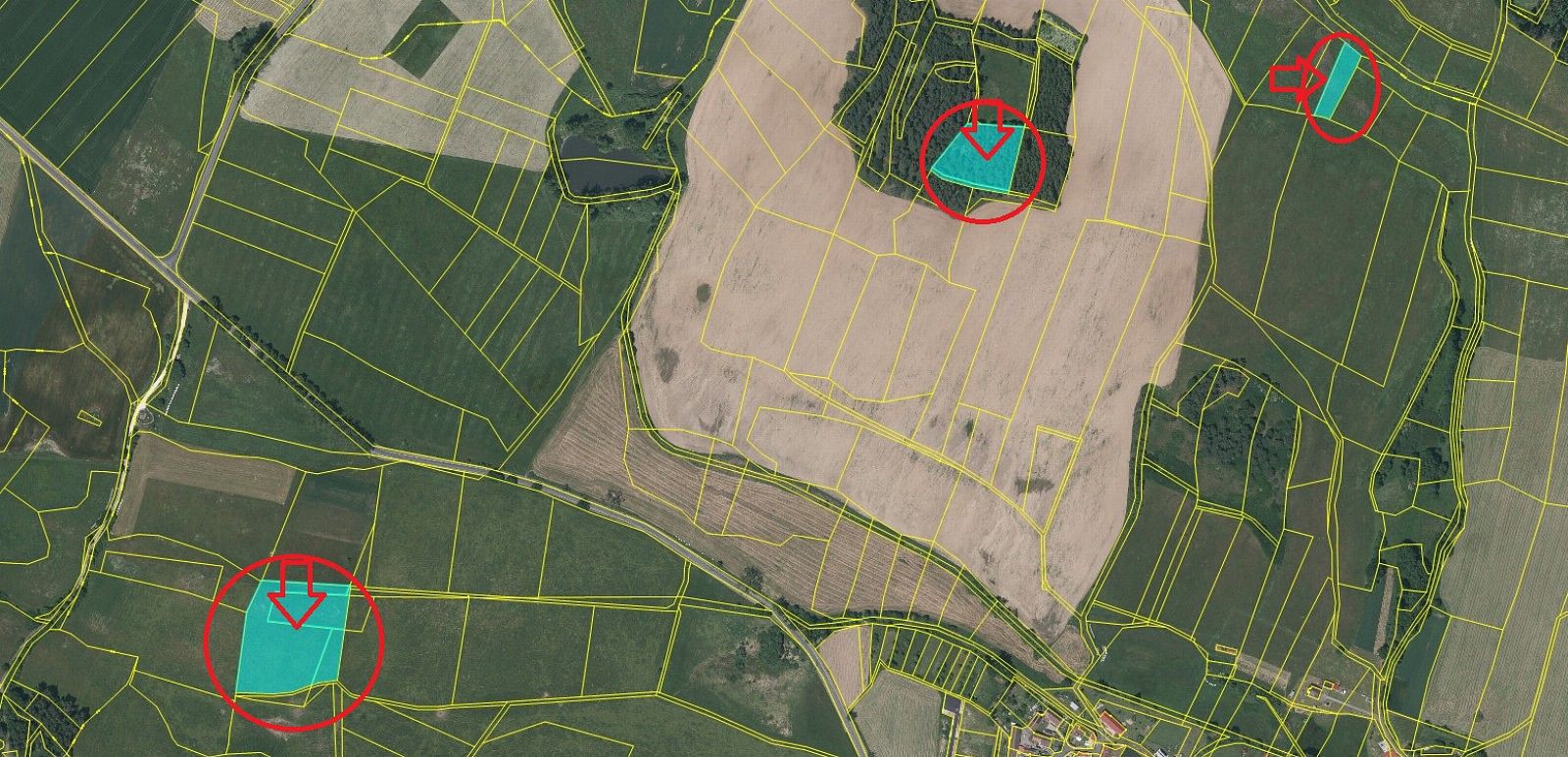 Les · Frymburk - Druztová, okres Klatovy, Plzeňský kraj - 3
