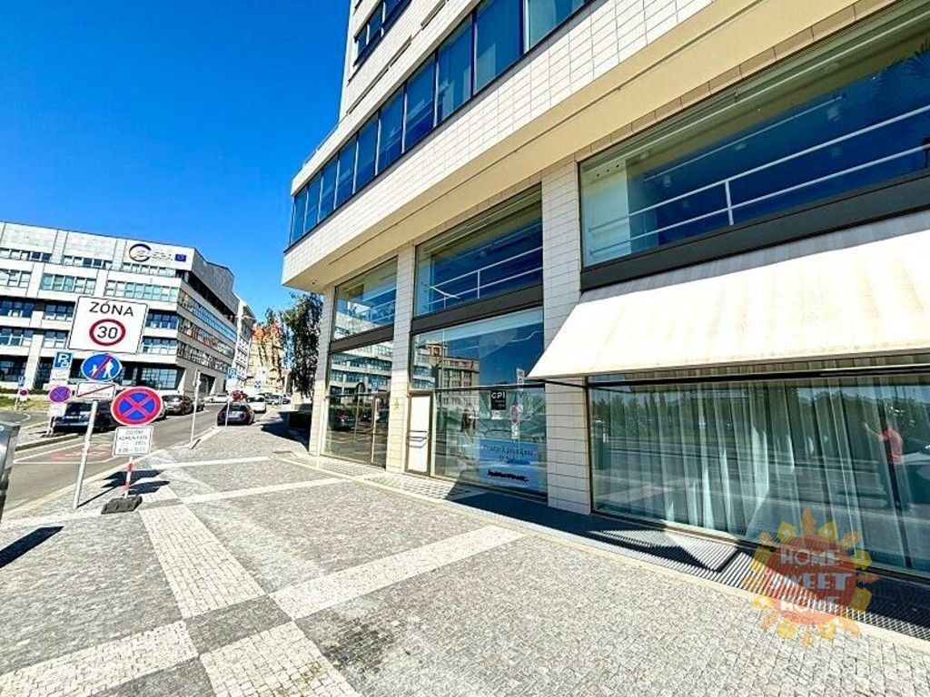 Obchodní prostory, Bubenská 1477, Praha Holešovice, 242 m² - 1