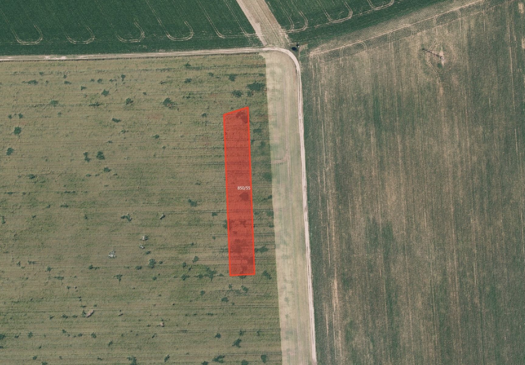 Zemědělský pozemek, 6 317 m²
