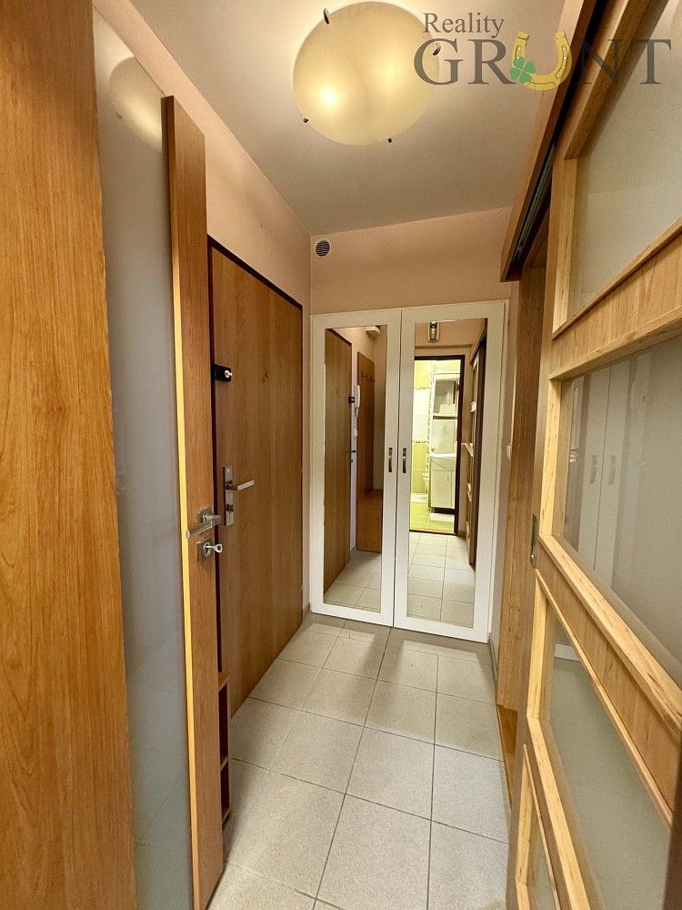Pronájem byt 2+1 - Jana Maluchy, Ostrava - Dubina, 44 m² - 5