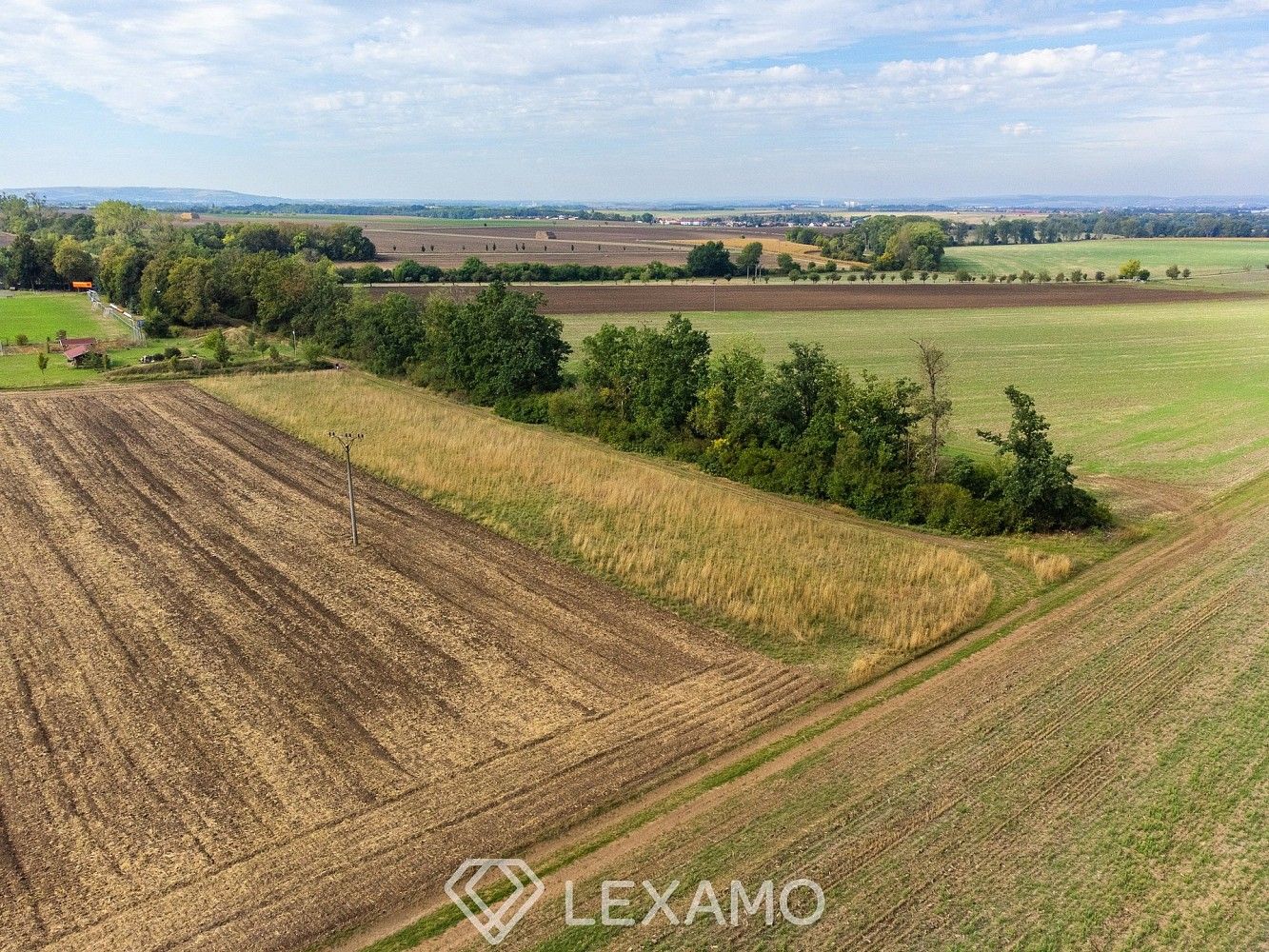 Prodej zemědělský pozemek - Prace, okres Brno-venkov, Jihomoravský kraj - 5