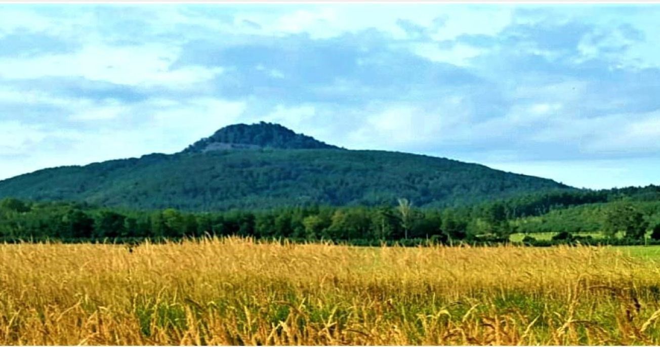 Prodej pozemek pro bydlení - Ralsko