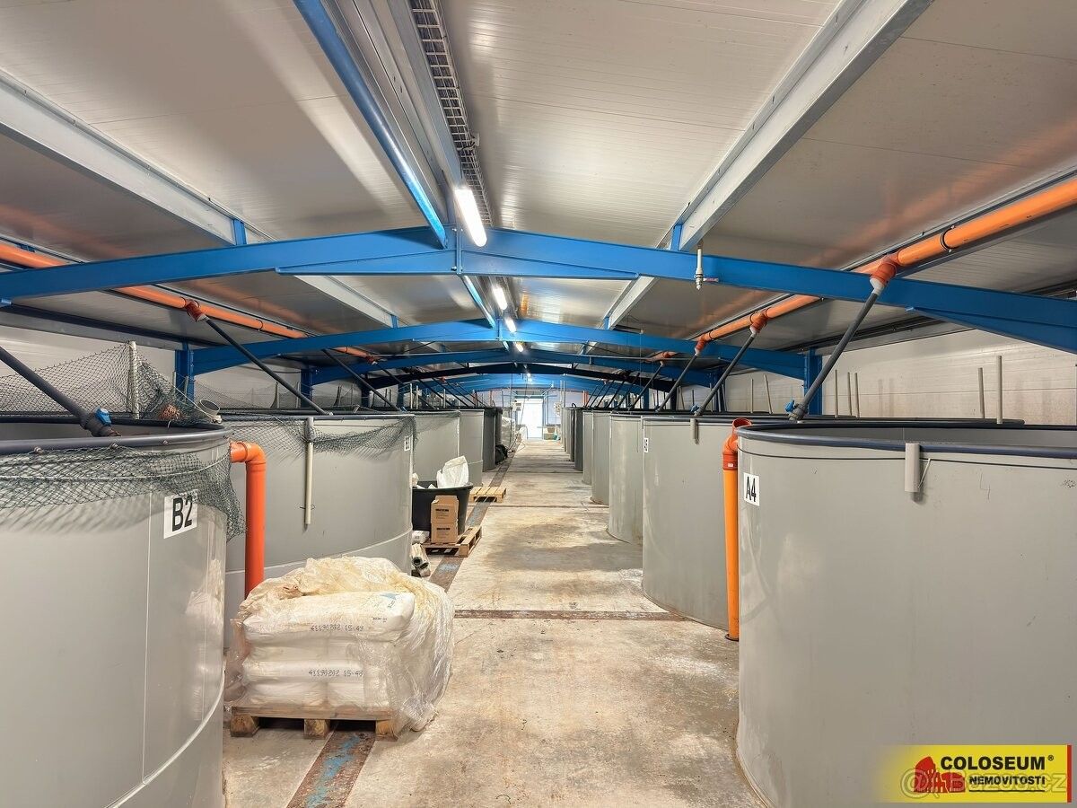 Pronájem ostatní - Nedvědice, 592 62