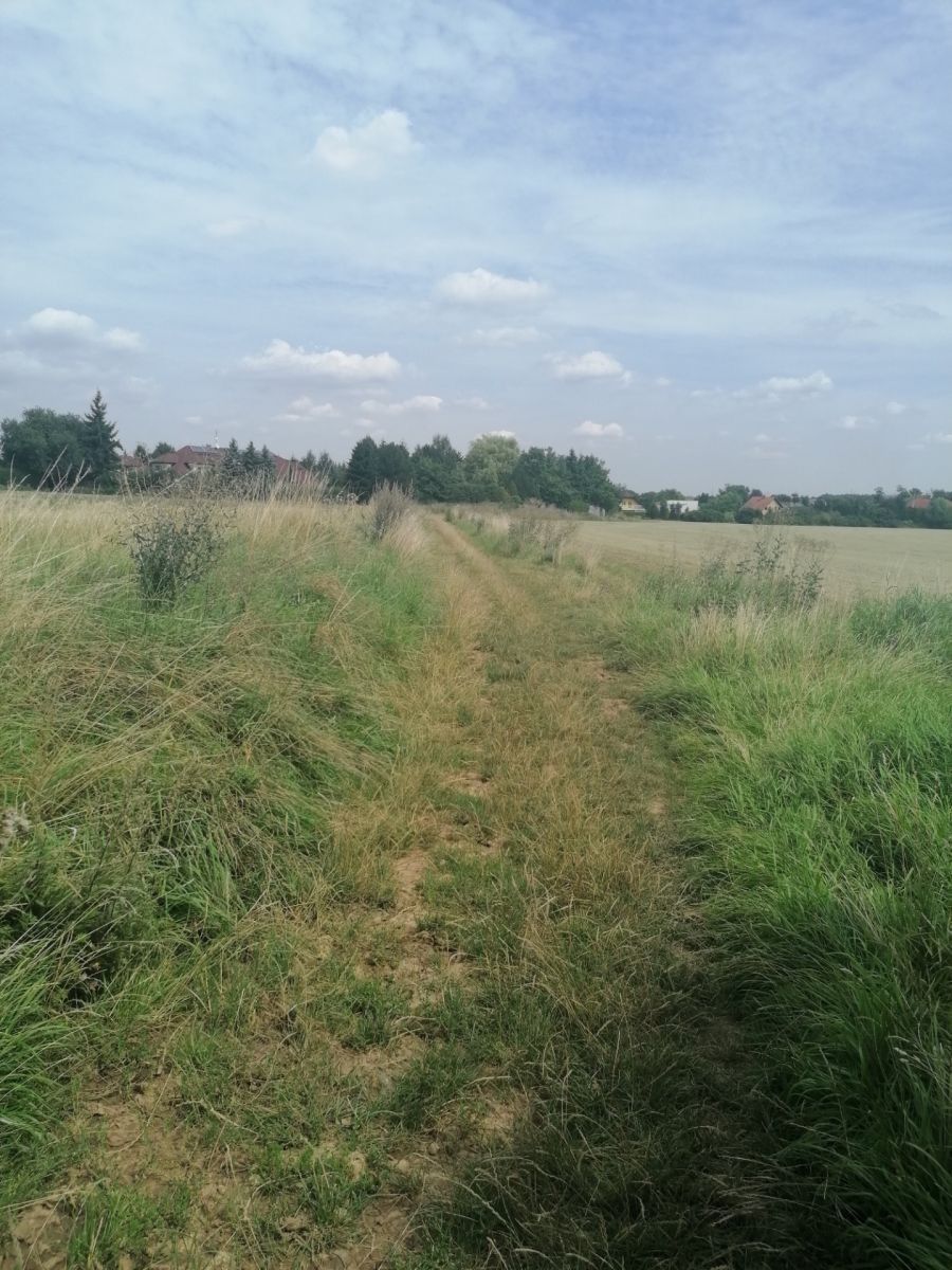 Pozemky pro bydlení, Úhonice - Úhonice, Středočeský kraj - 2