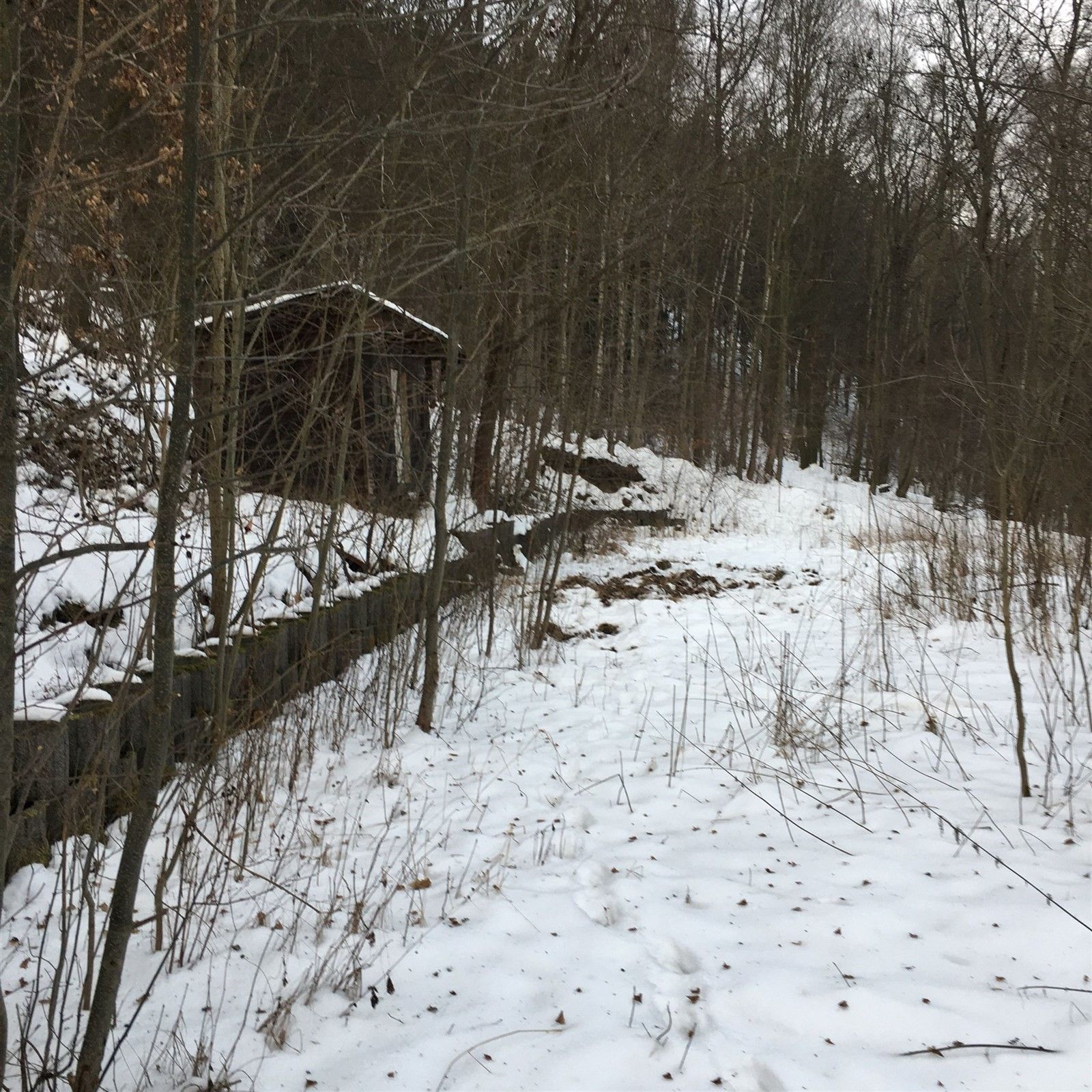 Prodej pozemek - Kadaň