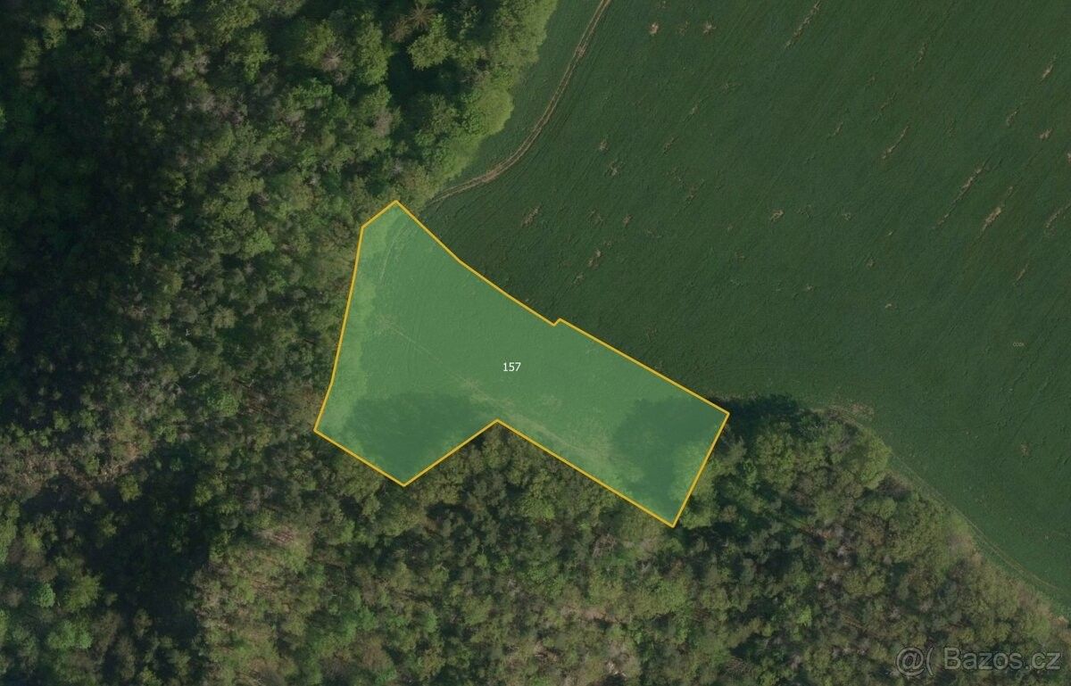 Prodej pozemek pro bydlení - Třemošnice, 538 43