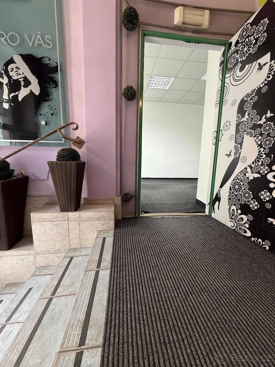 Pronájem obchodní prostory - Plzeň, 301 00