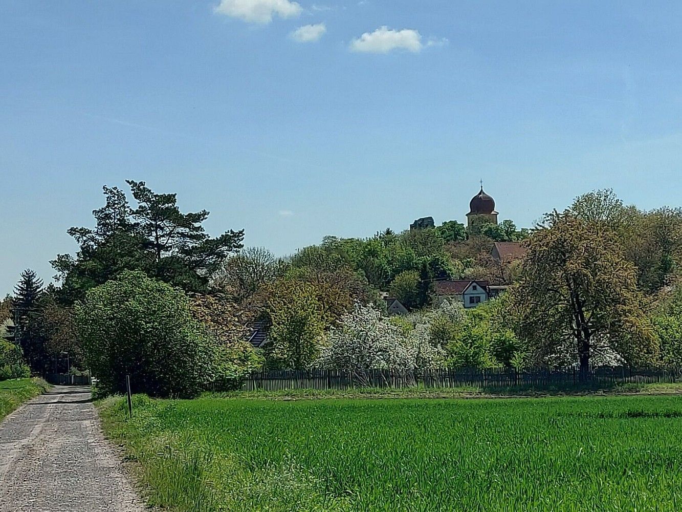 Pozemek pro bydlení · Panenský Týnec, okres Louny, Ústecký kraj - 3