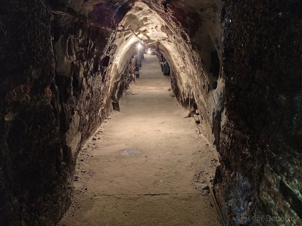 Pronájem ostatní - Znojmo, 671 81