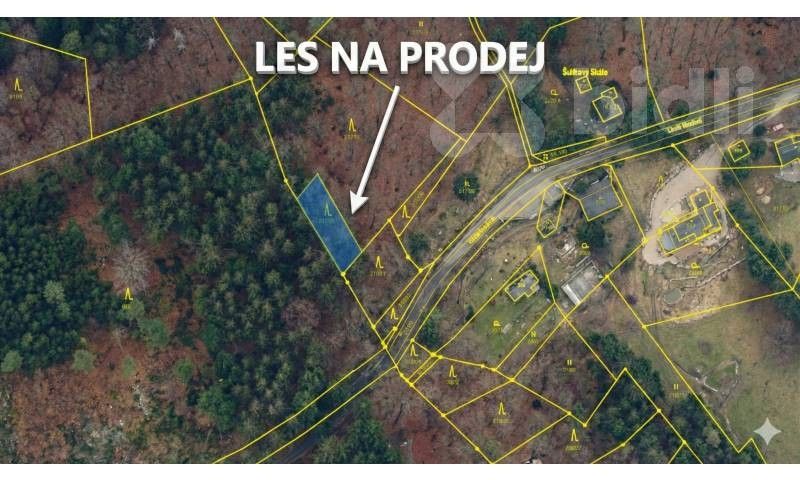 Prodej les - Šumburk nad Desnou, Tanvald