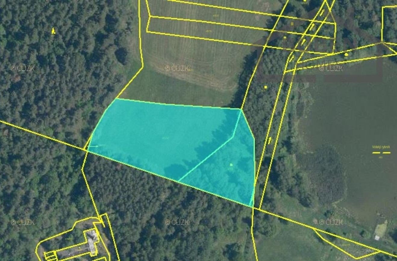 Prodej zemědělský pozemek - Nová Ves - 5