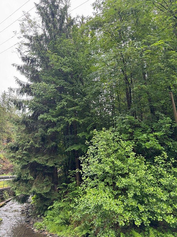 Les, 18 900 m²