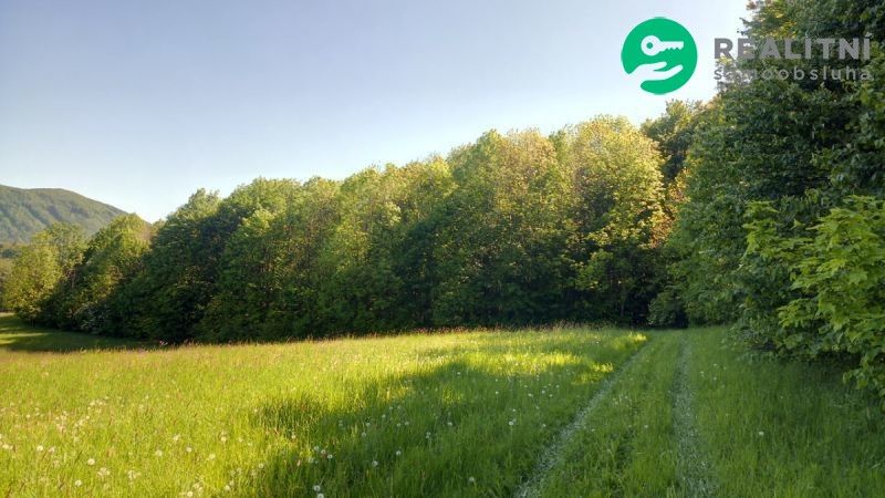 Prodej les - Ženklava