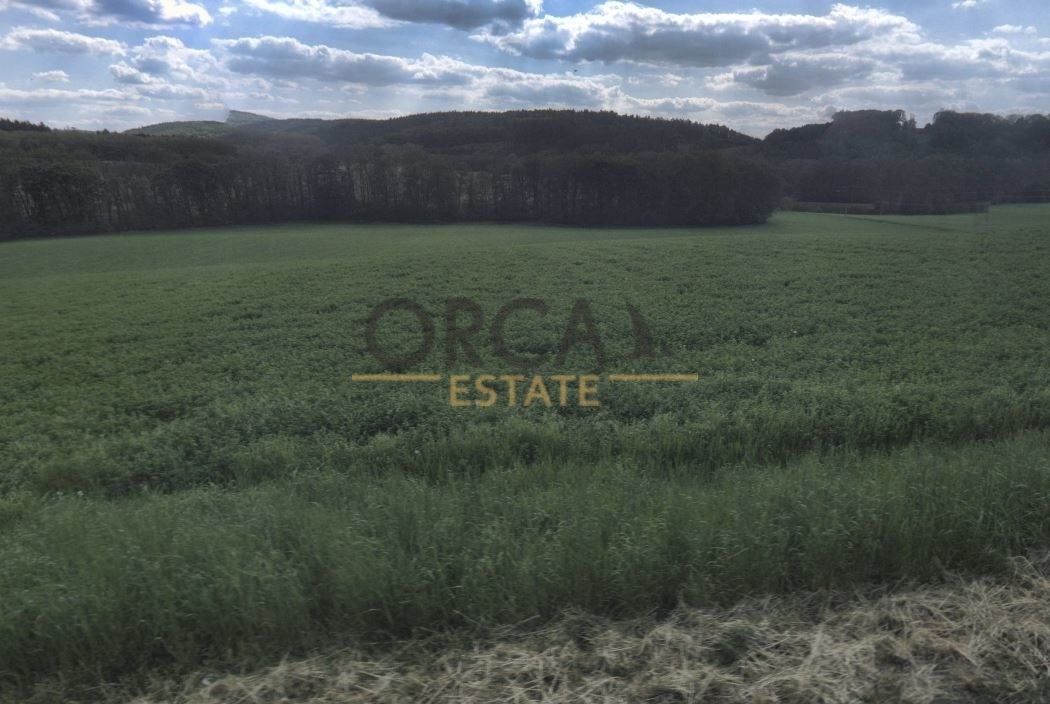 Prodej pozemek pro bydlení - Bojkovice, 687 71