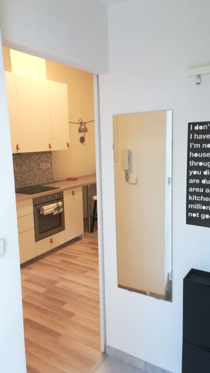 Pronájem byt 1+1 - Šlikova, Praha - Břevnov, 42 m² - 5
