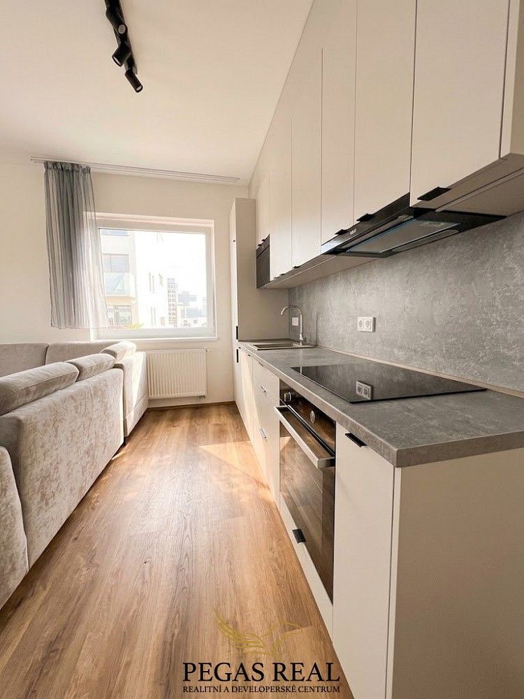 Byt 2+kk · 58 m² · Brno - Sadová, okres Brno-město, Jihomoravský kraj - 4