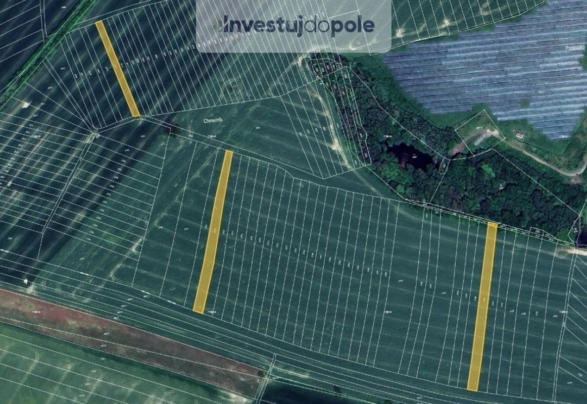 Prodej zemědělský pozemek - Velký Újezd, 783 55, 4 609 m²