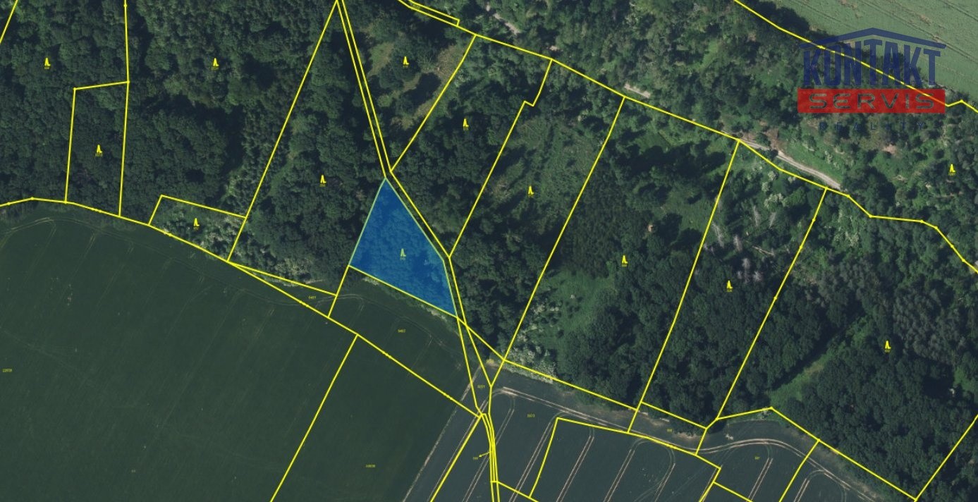 Prodej les - Chorušice Velký Újezd - 5