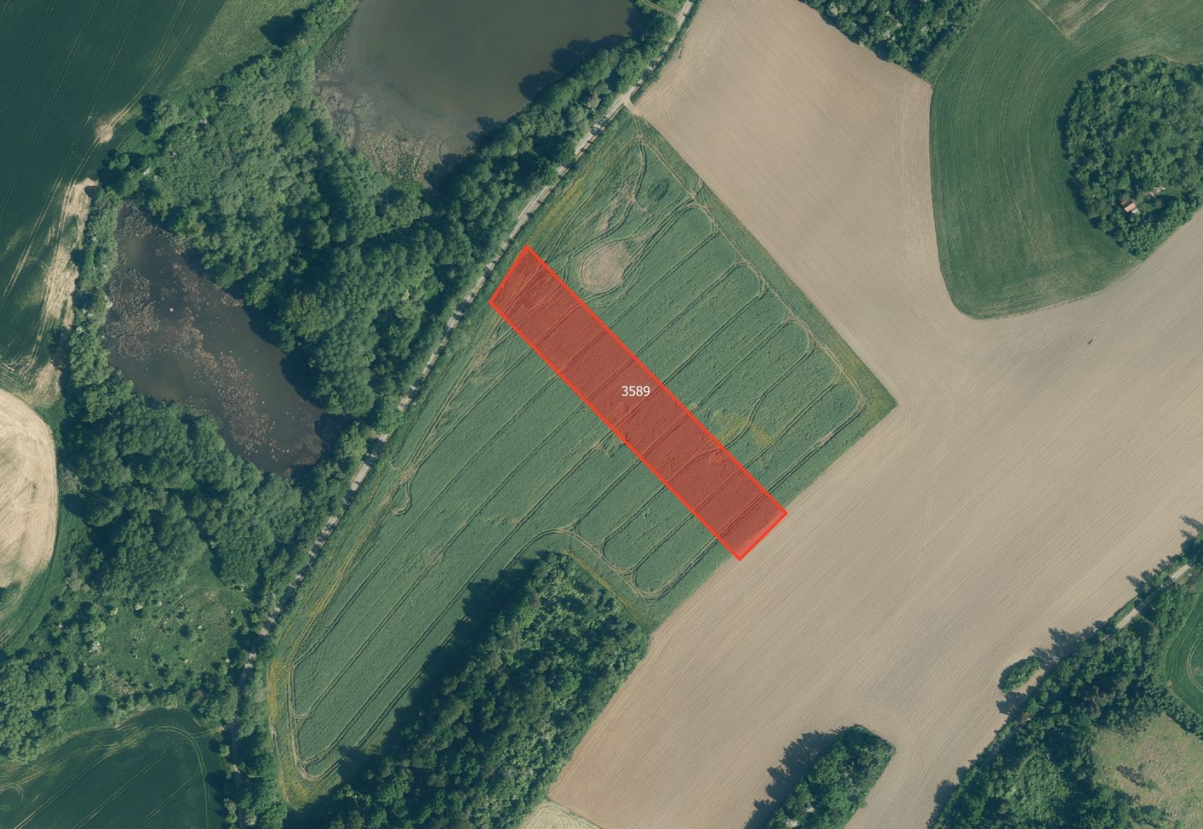 Prodej zemědělský pozemek - Kout na Šumavě