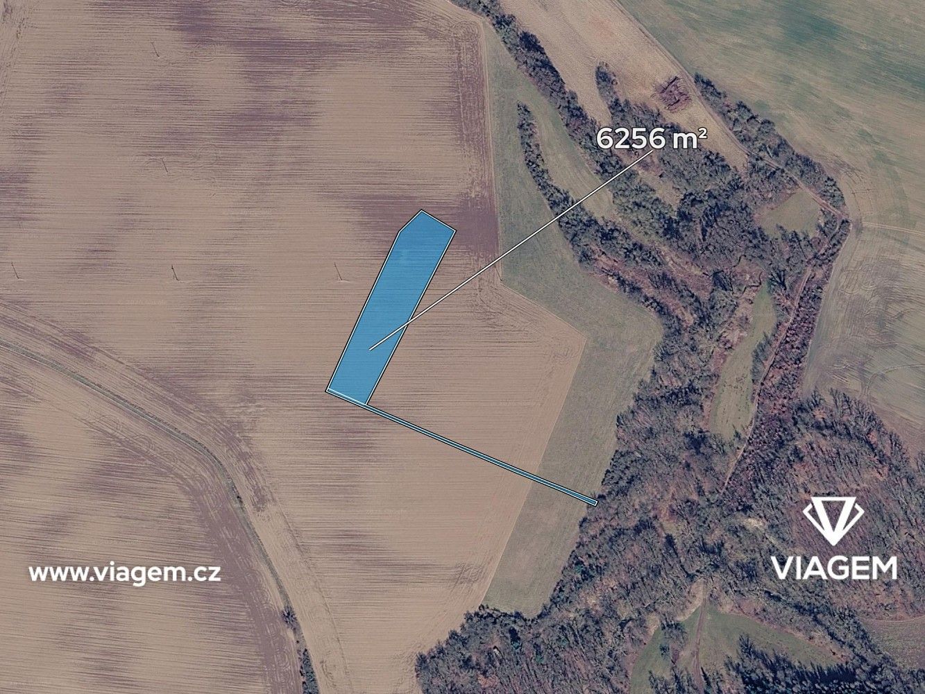 Zemědělský pozemek · Malotice, okres Kolín, Středočeský kraj - 2